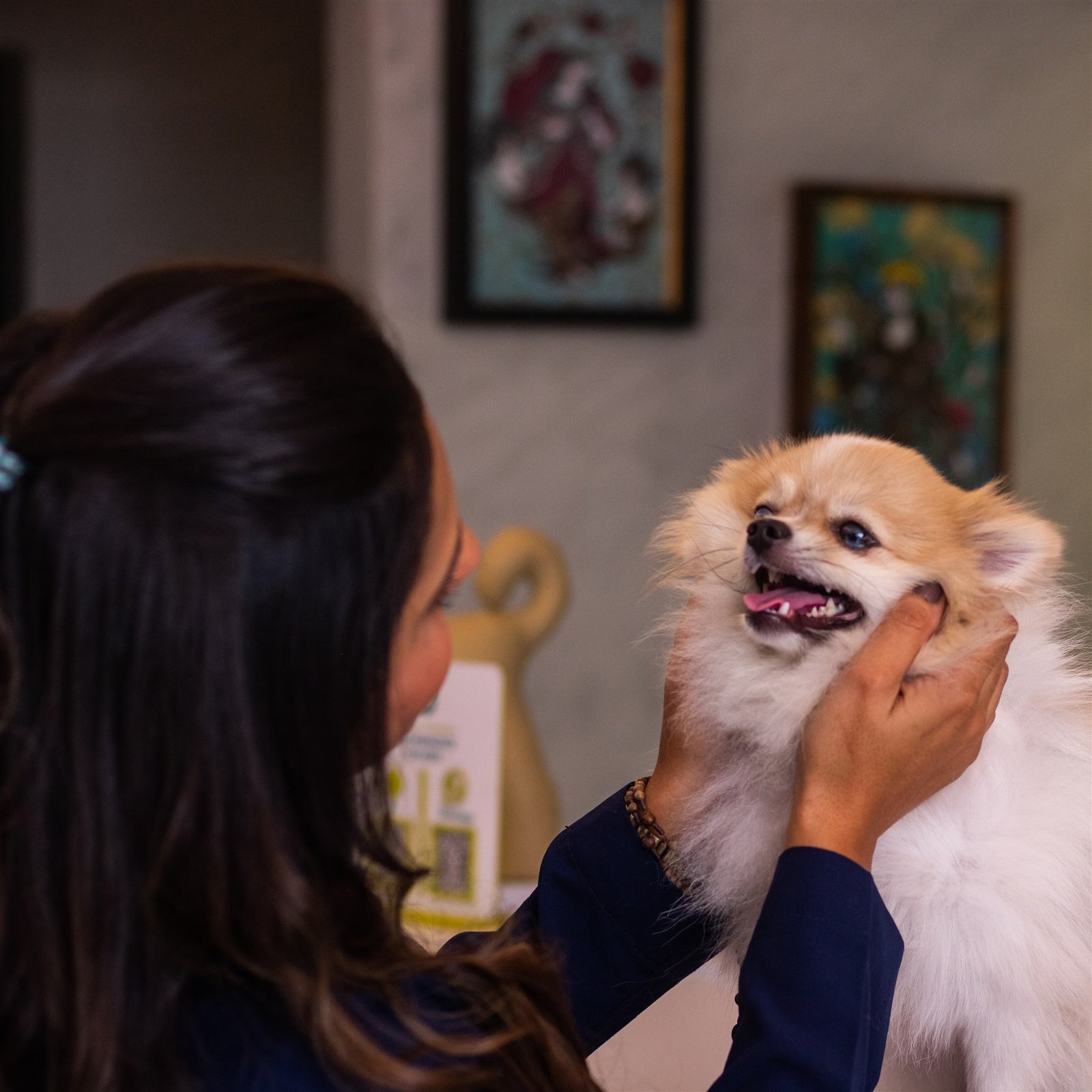 Mau hálito em cães e gatos: quando procurar um veterinário?