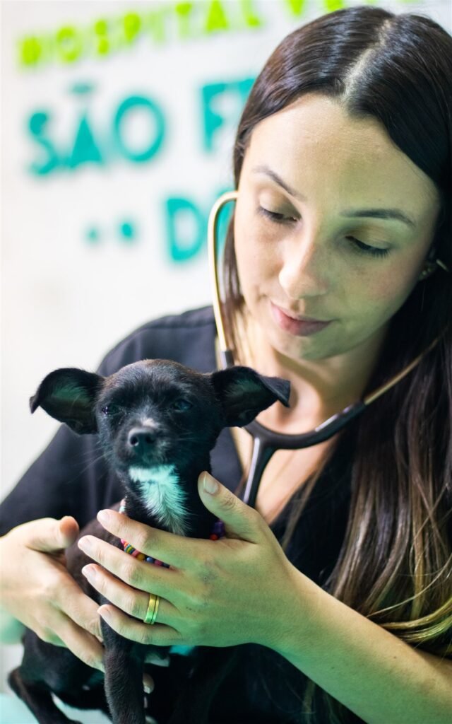 Profissional com um cão pequeno de pelagem preta