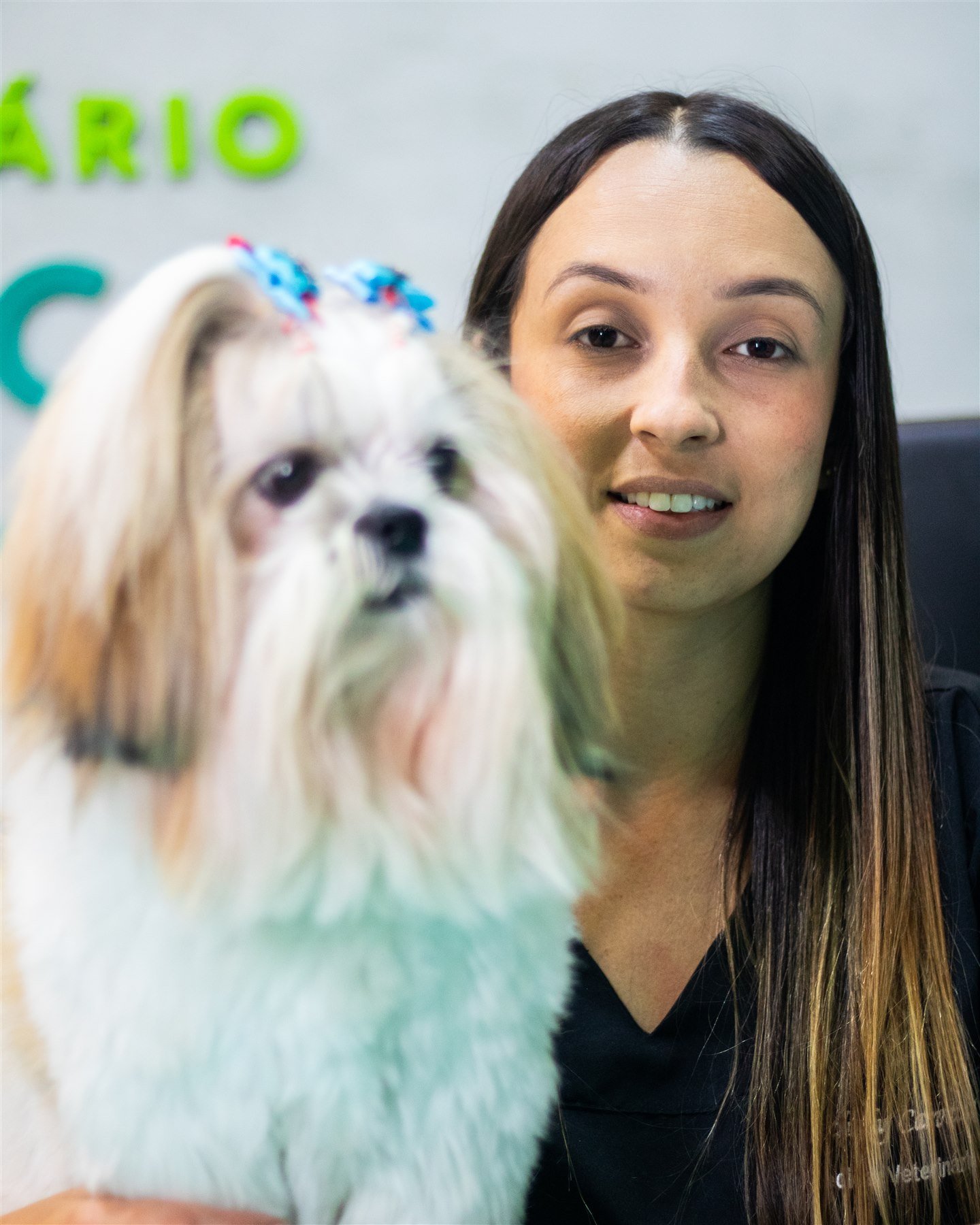 Leishmaniose canina: prevenção e sinais para conversar com o veterinário