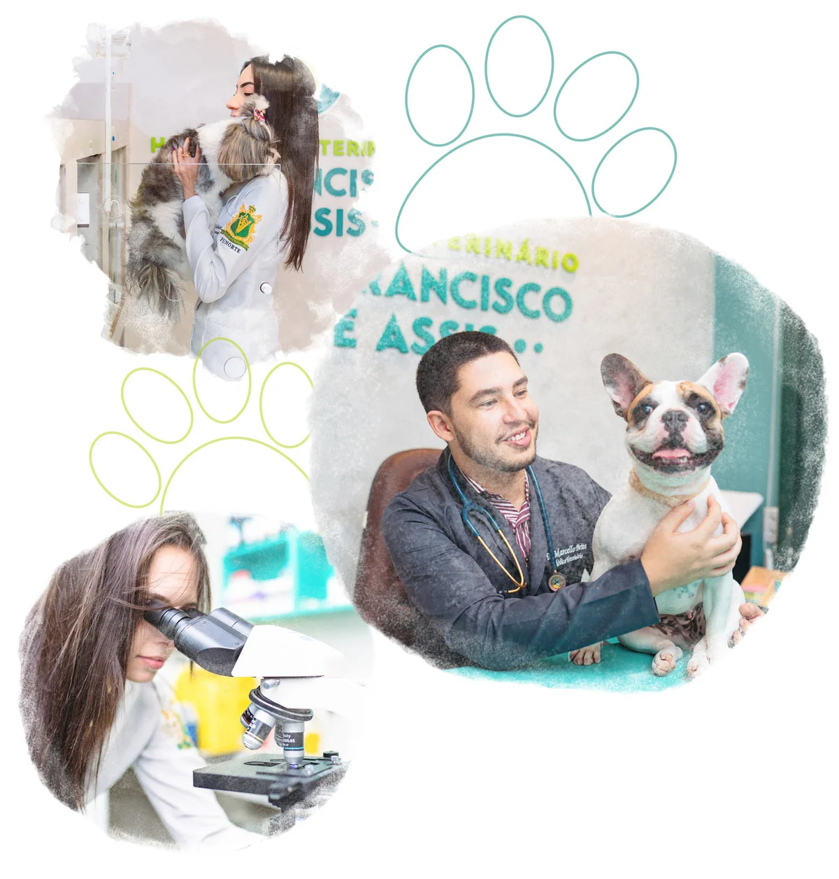 Veterinário 24h em Montes Claros: quando seu pet precisa de atendimento imediato?